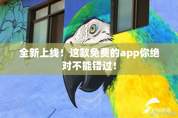 全新上线！这款免费的app你绝对不能错过！
