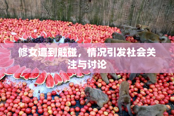 修女遭到触碰，情况引发社会关注与讨论