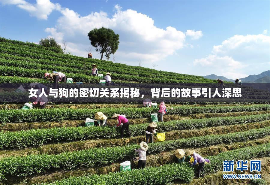 女人与狗的密切关系揭秘，背后的故事引人深思