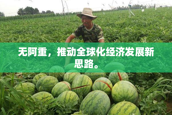 无阿重，推动全球化经济发展新思路。