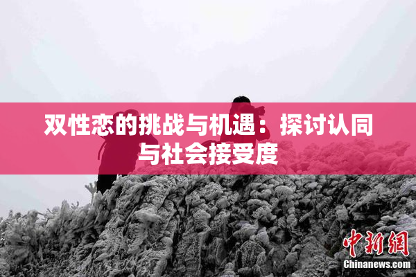 双性恋的挑战与机遇：探讨认同与社会接受度