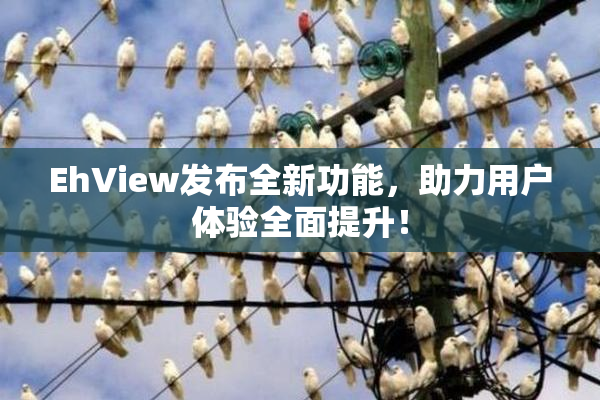 EhView发布全新功能，助力用户体验全面提升！