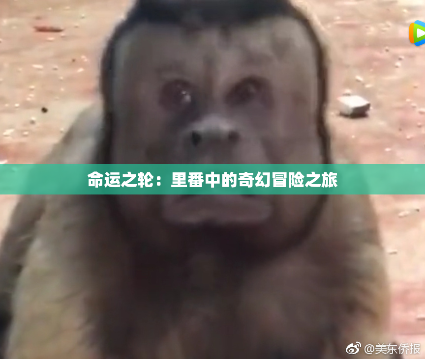 命运之轮：里番中的奇幻冒险之旅