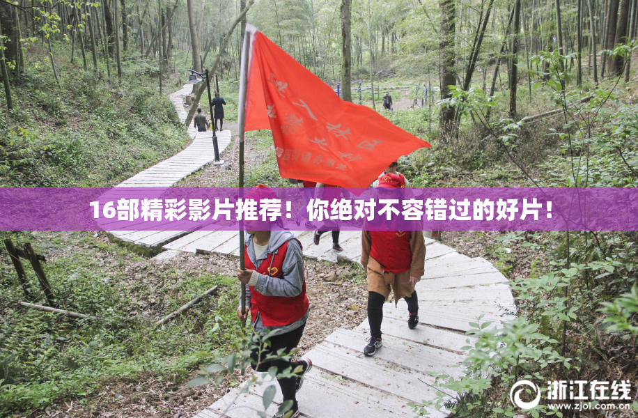 16部精彩影片推荐！你绝对不容错过的好片！