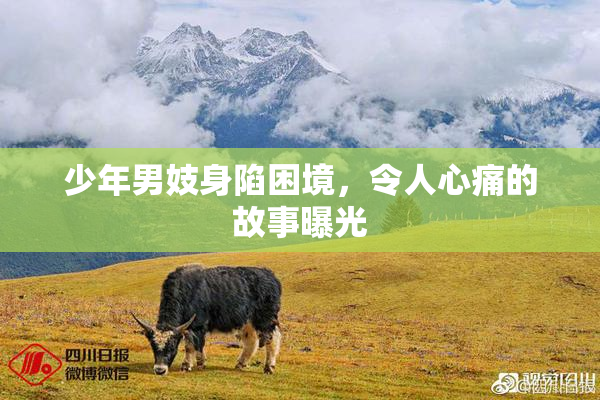 少年男妓身陷困境，令人心痛的故事曝光