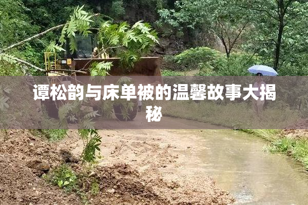 谭松韵与床单被的温馨故事大揭秘