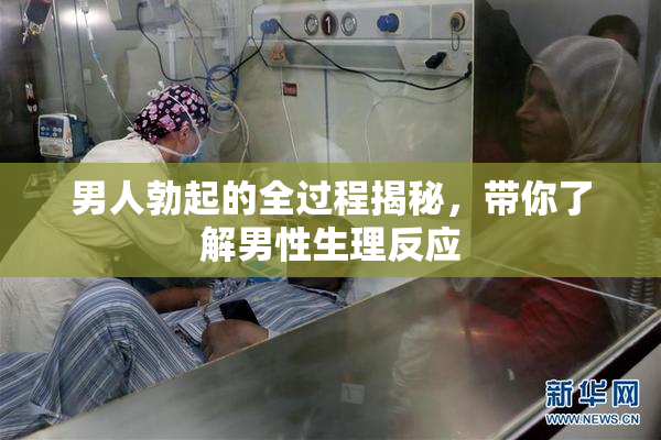 男人勃起的全过程揭秘，带你了解男性生理反应