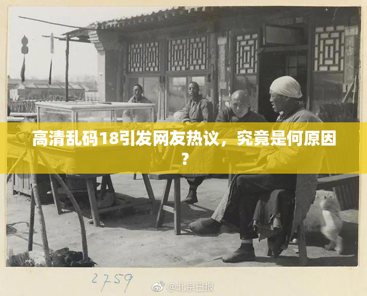 高清乱码18引发网友热议，究竟是何原因？