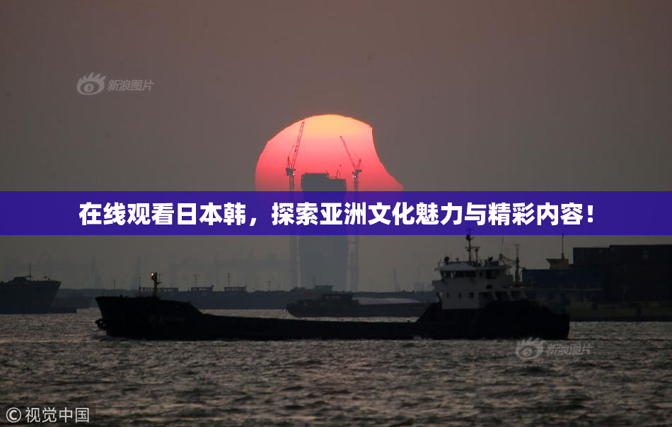 在线观看日本韩，探索亚洲文化魅力与精彩内容！