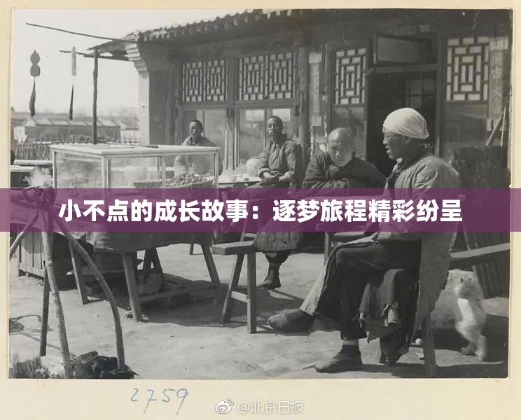 小不点的成长故事：逐梦旅程精彩纷呈