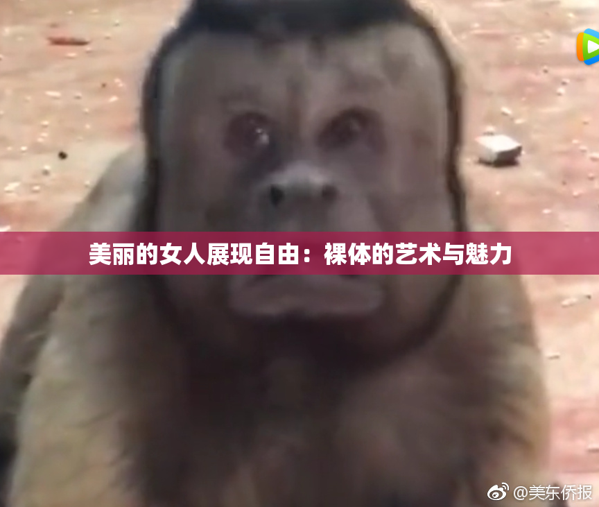 美丽的女人展现自由：裸体的艺术与魅力