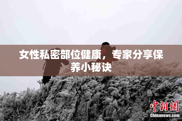 女性私密部位健康，专家分享保养小秘诀