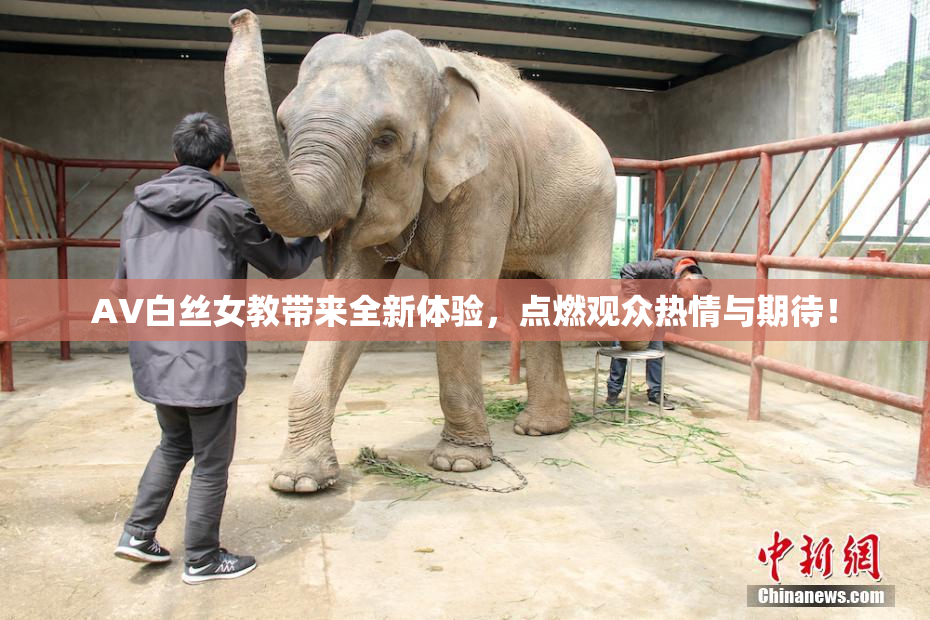 AV白丝女教带来全新体验，点燃观众热情与期待！