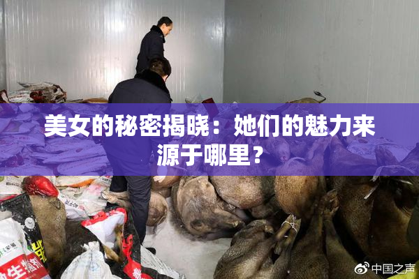 美女的秘密揭晓：她们的魅力来源于哪里？