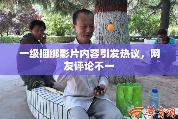 一级捆绑影片内容引发热议，网友评论不一
