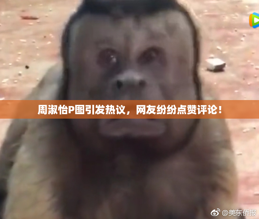 周淑怡P图引发热议，网友纷纷点赞评论！