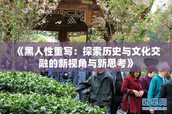 《黑人性重写：探索历史与文化交融的新视角与新思考》