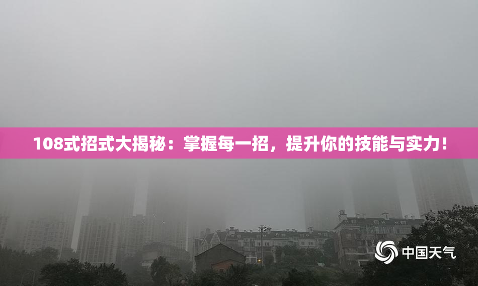 108式招式大揭秘：掌握每一招，提升你的技能与实力！