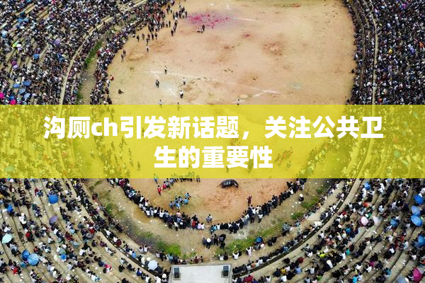 沟厕ch引发新话题，关注公共卫生的重要性