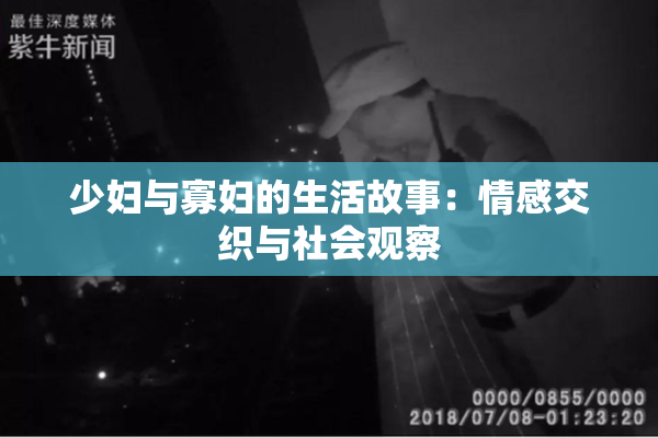 少妇与寡妇的生活故事：情感交织与社会观察