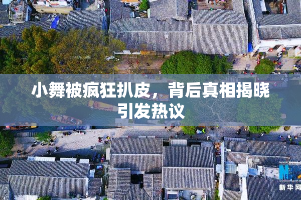 小舞被疯狂扒皮，背后真相揭晓引发热议