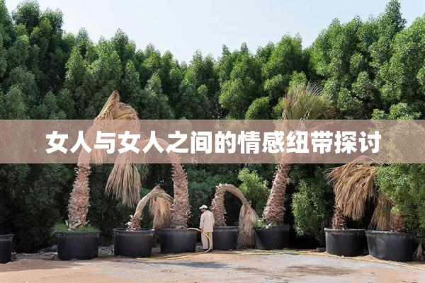 女人与女人之间的情感纽带探讨