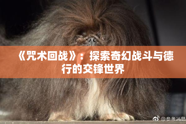 《咒术回战》：探索奇幻战斗与德行的交锋世界