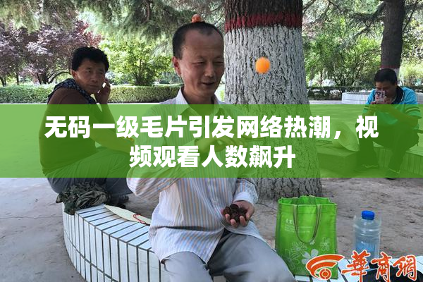 无码一级毛片引发网络热潮，视频观看人数飙升