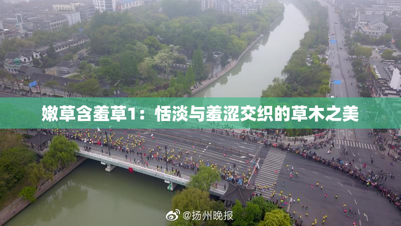 嫩草含羞草1：恬淡与羞涩交织的草木之美