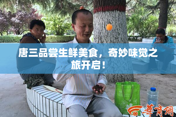 唐三品尝生鲜美食，奇妙味觉之旅开启！