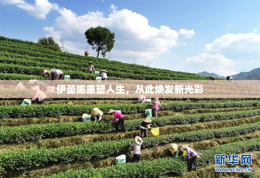 伊蕾娜重塑人生，从此焕发新光彩