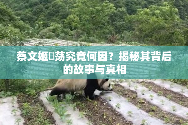蔡文姬婬荡究竟何因？揭秘其背后的故事与真相