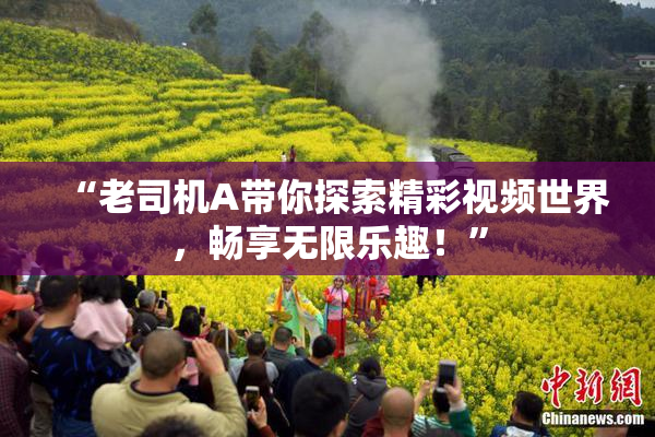 “老司机A带你探索精彩视频世界，畅享无限乐趣！”