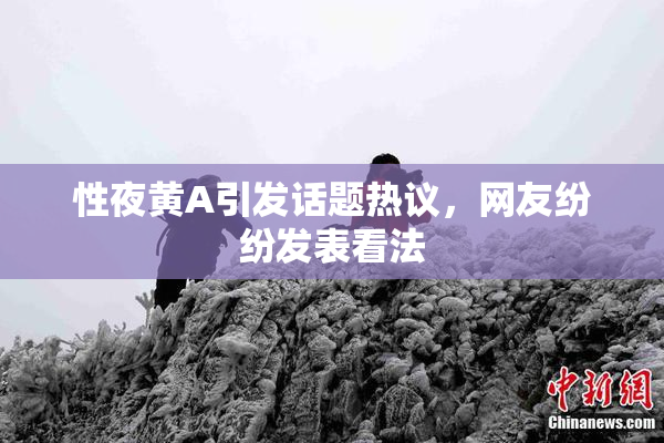 性夜黄A引发话题热议，网友纷纷发表看法