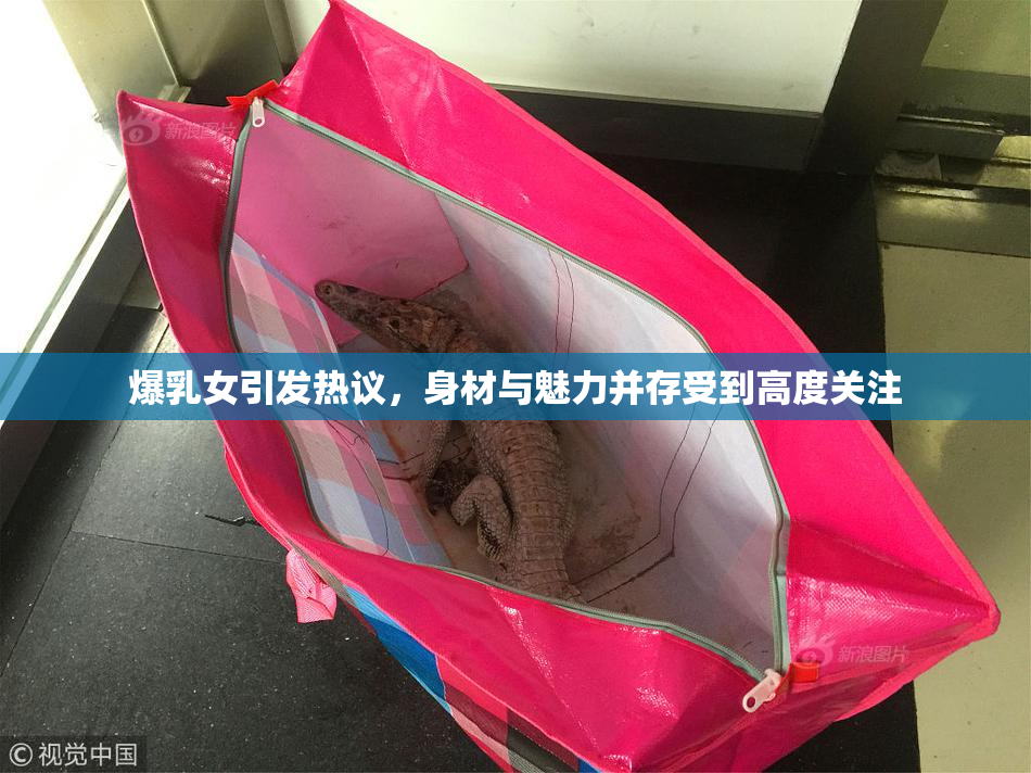 爆乳女引发热议，身材与魅力并存受到高度关注