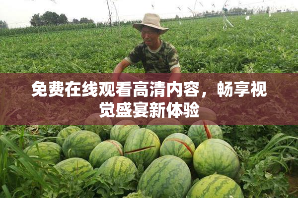 免费在线观看高清内容，畅享视觉盛宴新体验