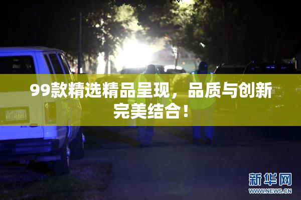 99款精选精品呈现，品质与创新完美结合！