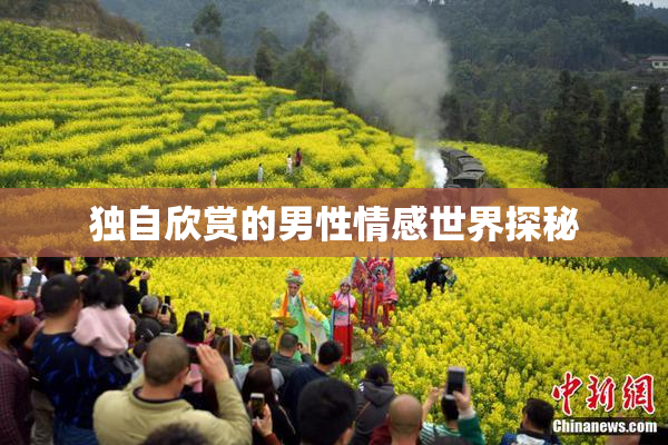 独自欣赏的男性情感世界探秘