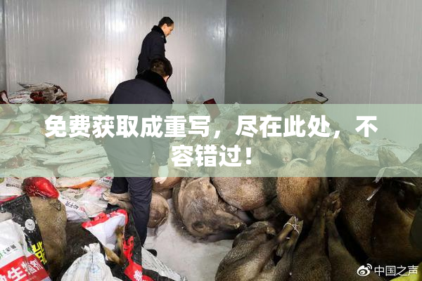 免费获取成重写，尽在此处，不容错过！