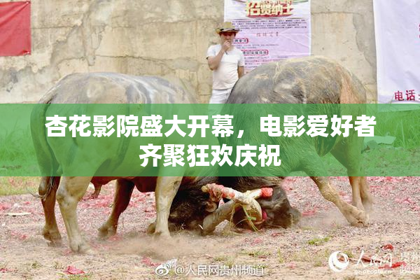 杏花影院盛大开幕，电影爱好者齐聚狂欢庆祝