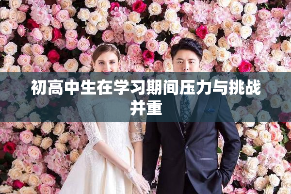初高中生在学习期间压力与挑战并重