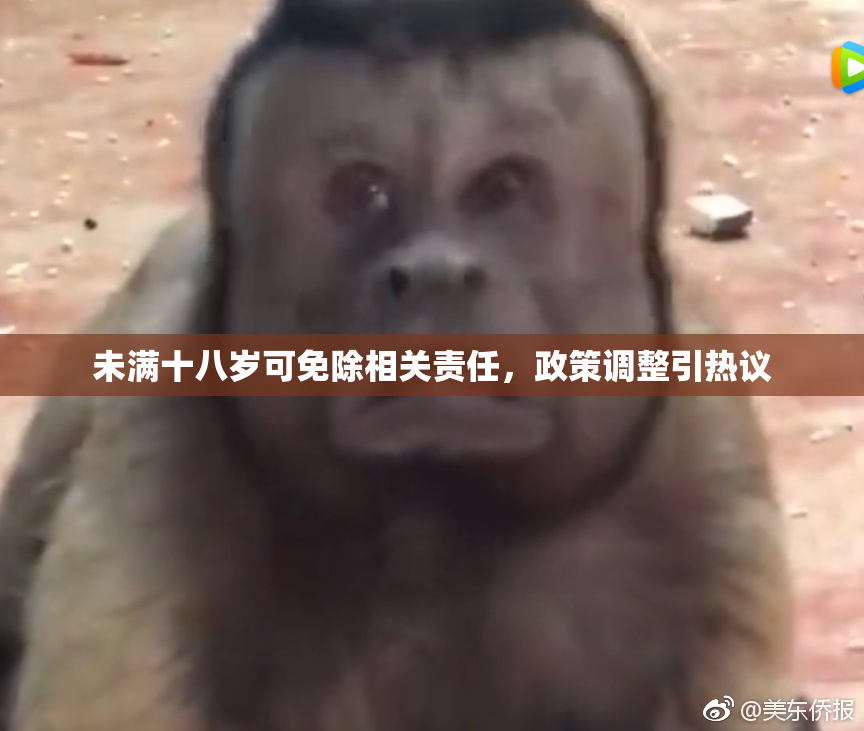 未满十八岁可免除相关责任，政策调整引热议