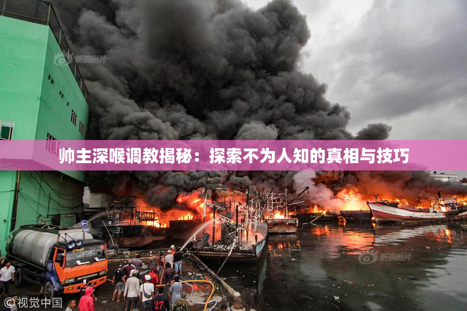 帅主深喉调教揭秘：探索不为人知的真相与技巧