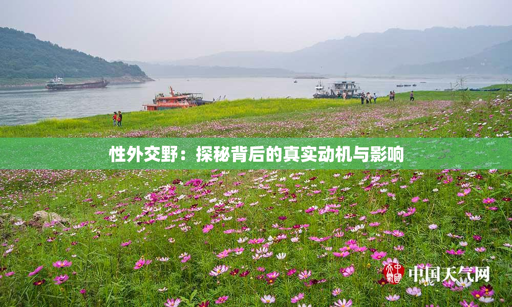 性外交野：探秘背后的真实动机与影响