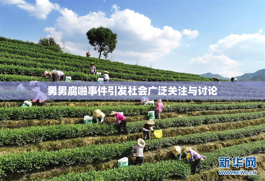 男男腐啪事件引发社会广泛关注与讨论