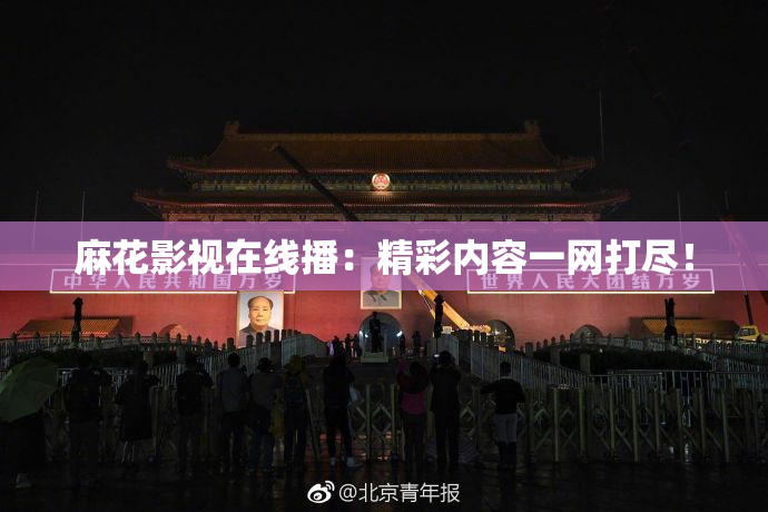 麻花影视在线播：精彩内容一网打尽！