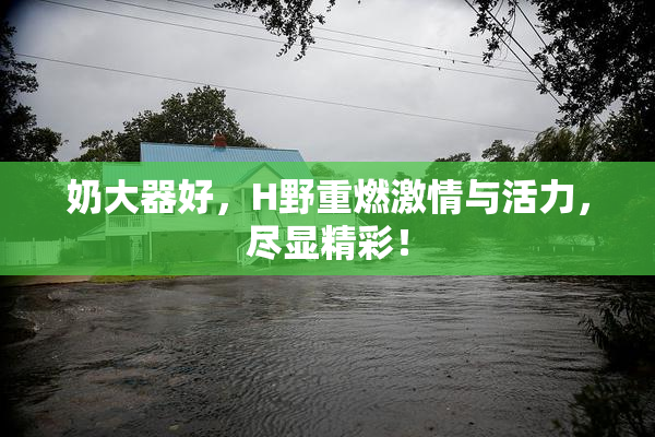 奶大器好，H野重燃激情与活力，尽显精彩！