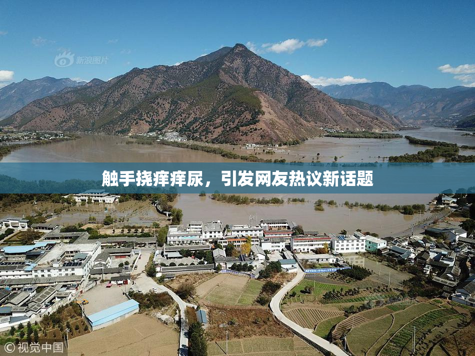 触手挠痒痒尿，引发网友热议新话题