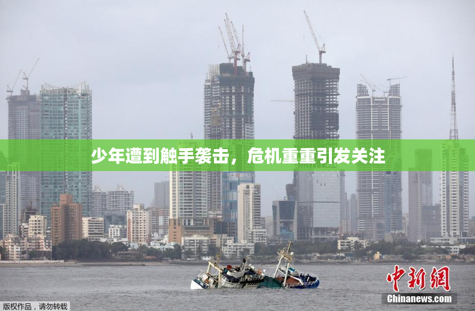 少年遭到触手袭击，危机重重引发关注