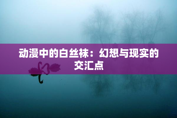 动漫中的白丝袜：幻想与现实的交汇点